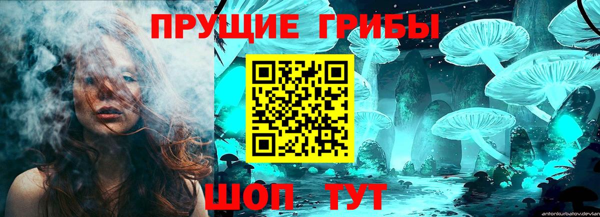 Псилоцибиновые грибы MAGIC MUSHROOMS  Вход с VPN  Рязань 